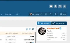 Screenshot (13).webp Screenshot (13).webp